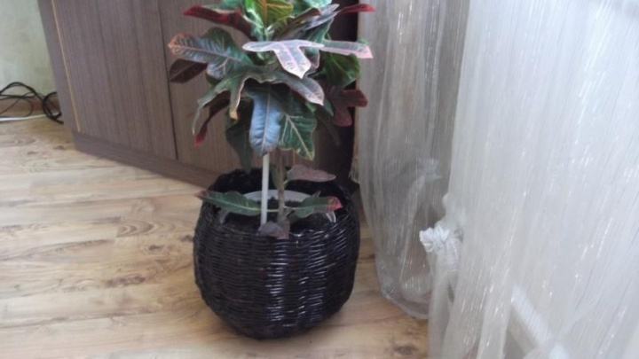flower vase