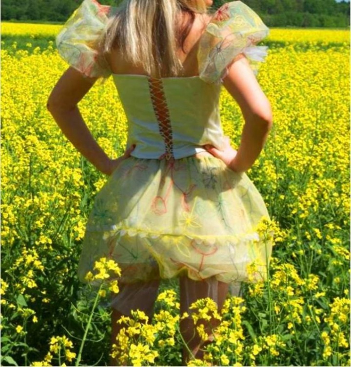 festive dress picture no. 2