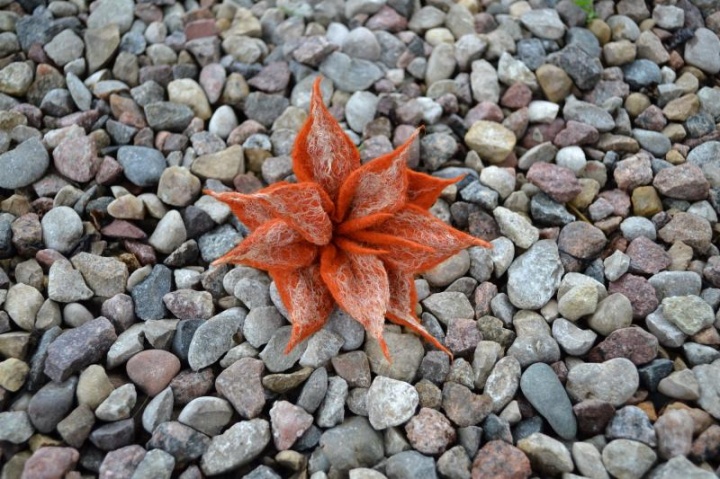 Oranžinė