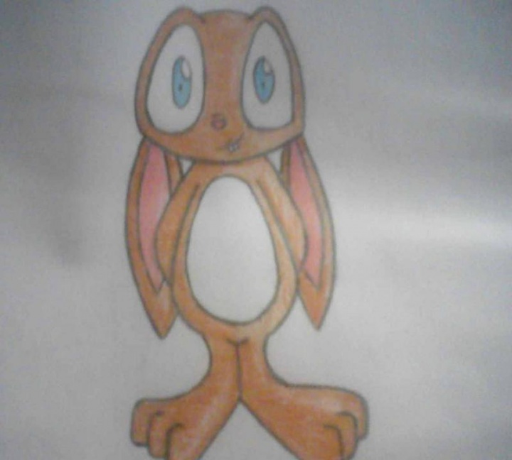 bunny