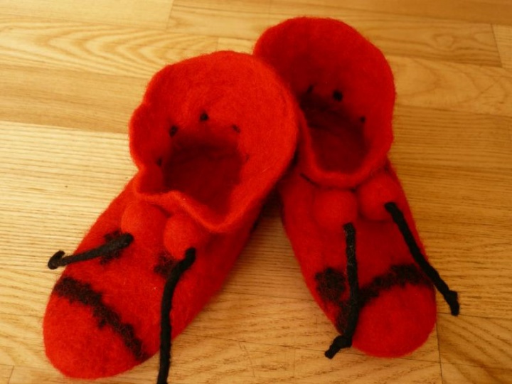 ladybird