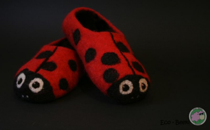 footwear