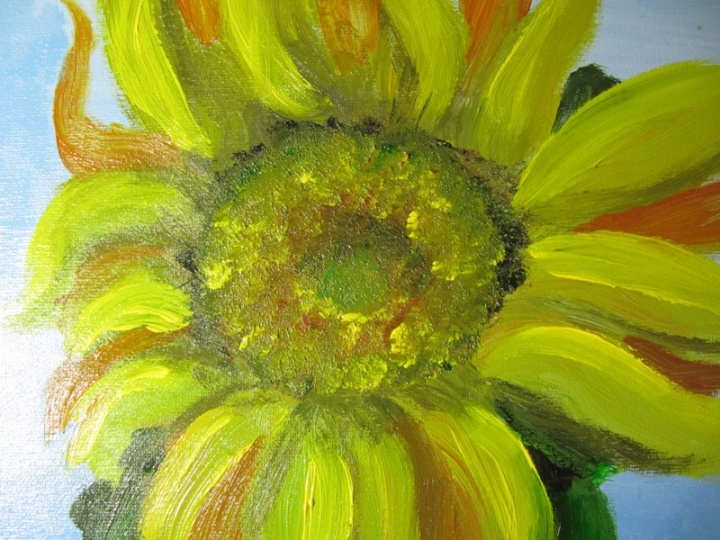 Sunflower