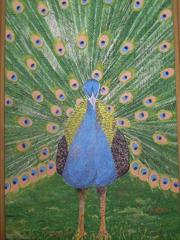 Peacock