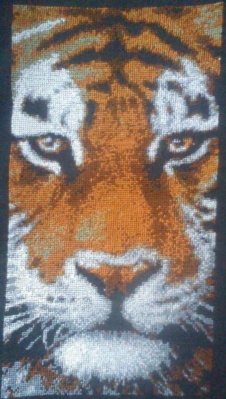 tiger