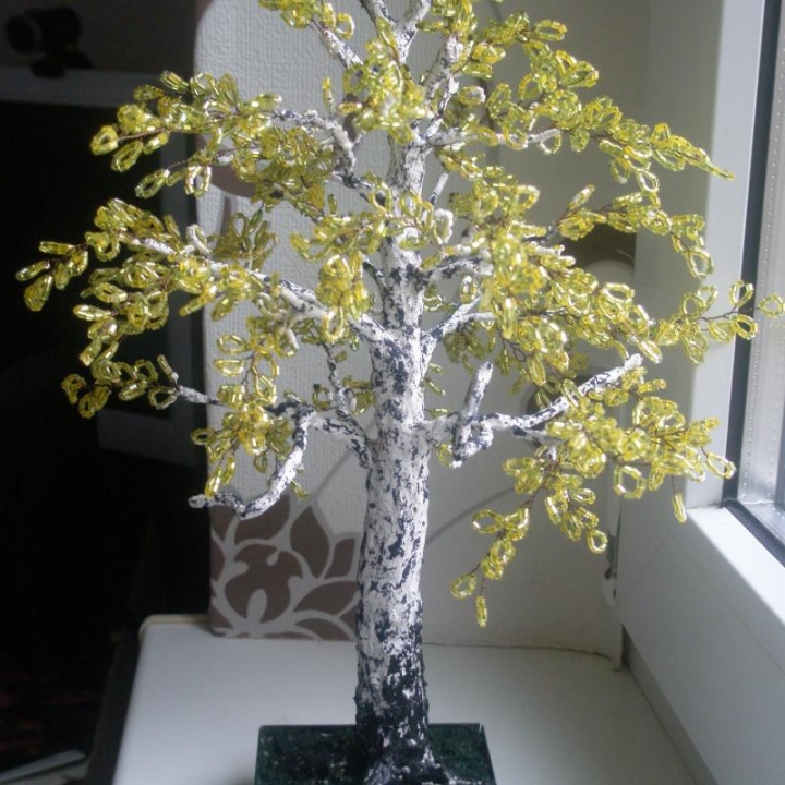 Autumn birch