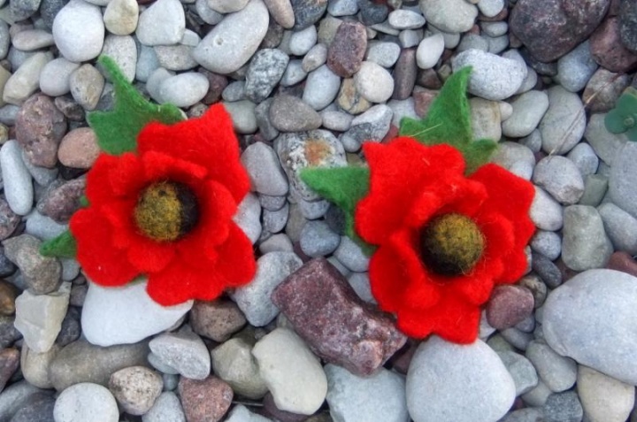 Poppies