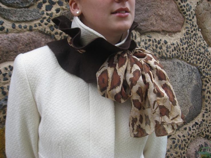 Leopard picture no. 2