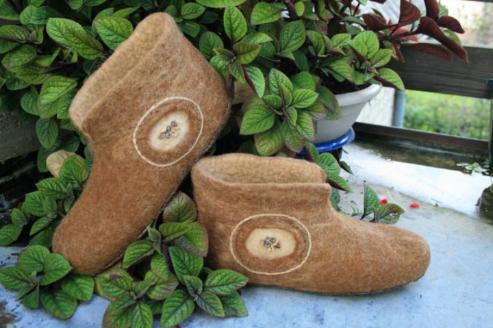 Rudutes with the dog wool