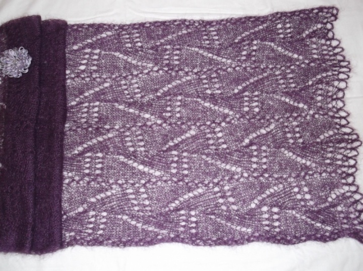 violetinis šalis(4)