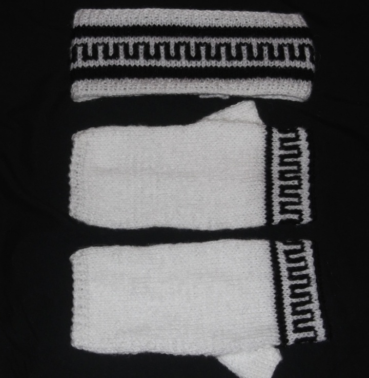 head strap and gloves
