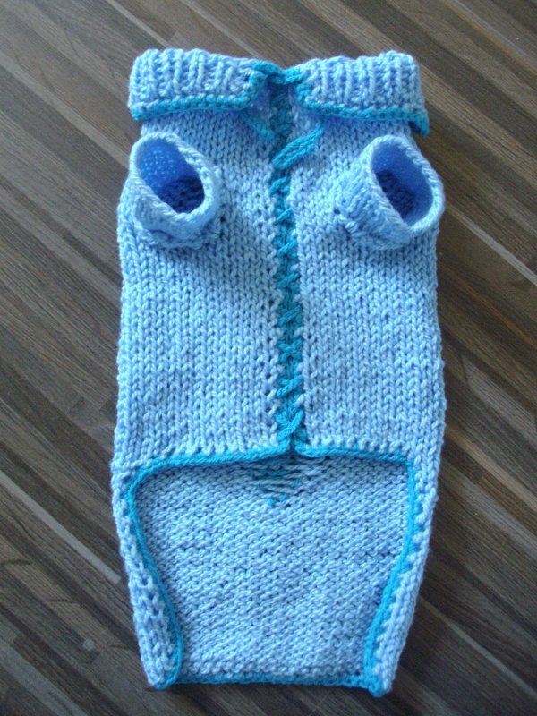 Blue sweater for puppy dog No.4 picture no. 3
