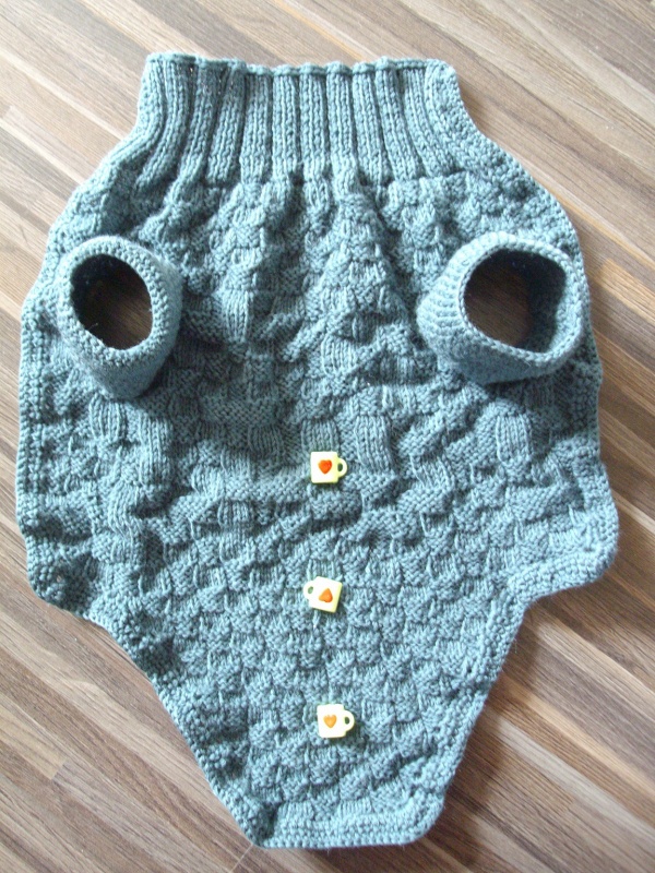 Rūbas augintiniui Nr.6