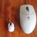 Computer mouse - Pendants - felting