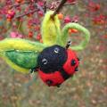 Ladybug - Brooches - felting
