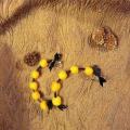 Playful auskariukai - Earrings - felting