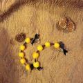 Playful auskariukai - Earrings - felting