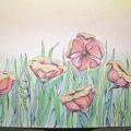 meadow flowers - Pictures - drawing