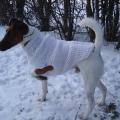 Sweater puppy - For pets - knitwork