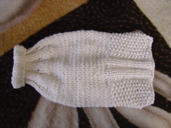Sweater puppy 3