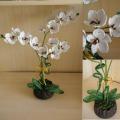 Karaliskoji orchideja 2 - Biser - beadwork