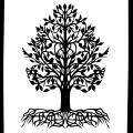 picture - Cuts - making