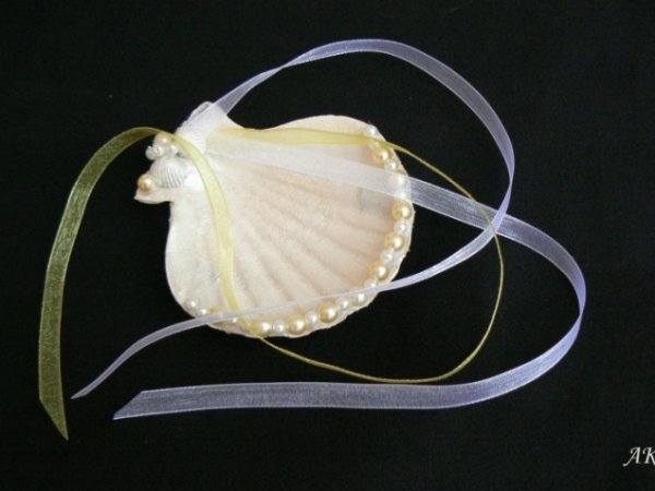 CUSHION CIRCLIPS - Accessory