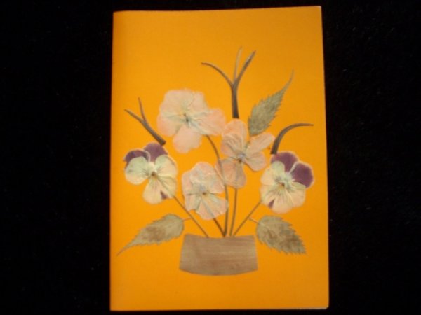 Pansies - Postcard