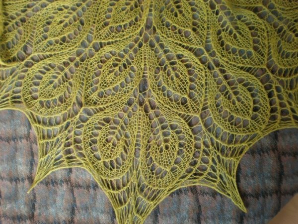 Gail Shawl 2