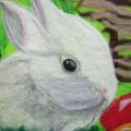 Happy Easter! - Pictures - felting