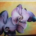 ORCHID - Acrylic painting - drawing