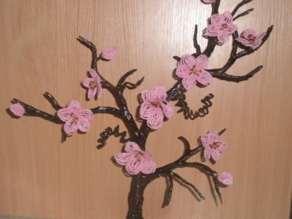 Sakura 1