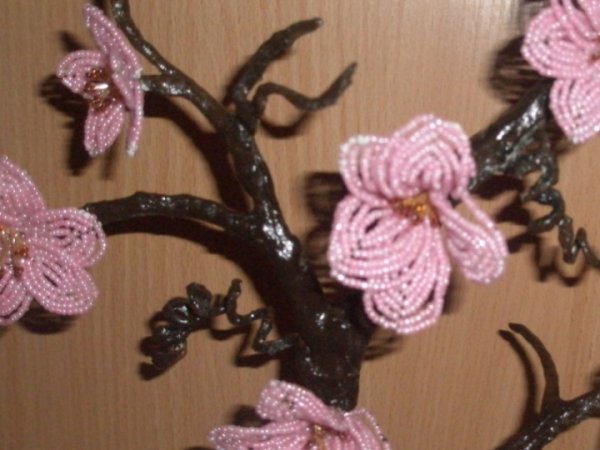Sakura 3