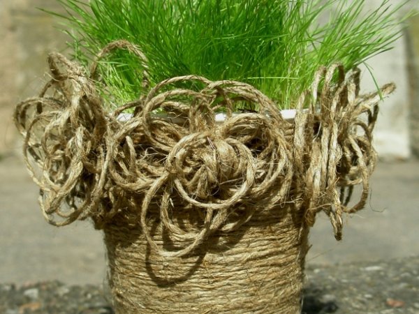 Easter grass pasipuošusiame cup :) - For interior