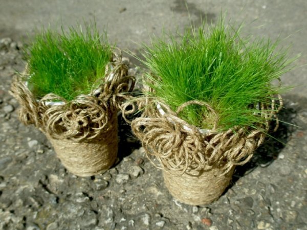 Easter grass pasipuošusiame cup :) 3