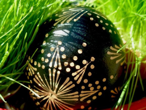 " basket " Easter eggs and green :) - Easter eggs