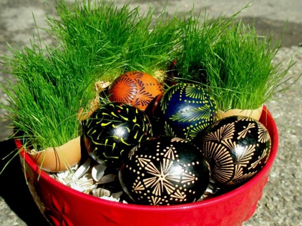 " basket " Easter eggs and green :) 2