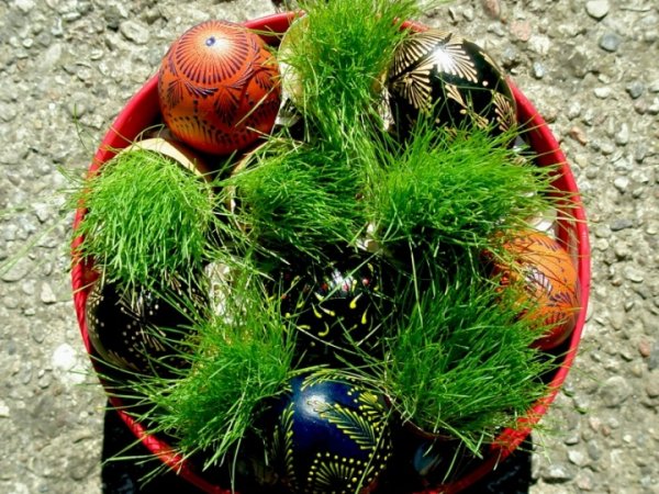 " basket " Easter eggs and green :) 3