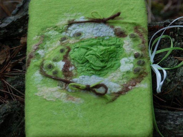 Moss notebook 2