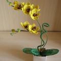 Orchideja " a little bit of sun " - Biser - beadwork