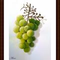A bunch of grapes - Pictures - drawing