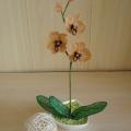 Orchideja " Karamele " - Biser - beadwork