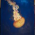 Medusa - Oil painting - drawing