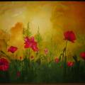 Poppies - Oil painting - drawing