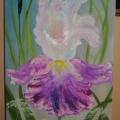 Toffee - Oil painting - drawing