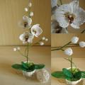 Orchideja " Fragrant dream " - Biser - beadwork