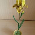 Iris yellow - Biser - beadwork