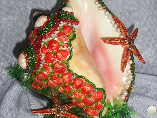 sea ​​shells - Biser