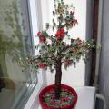 Property tree - For interior - making