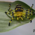 Spider - Biser - beadwork